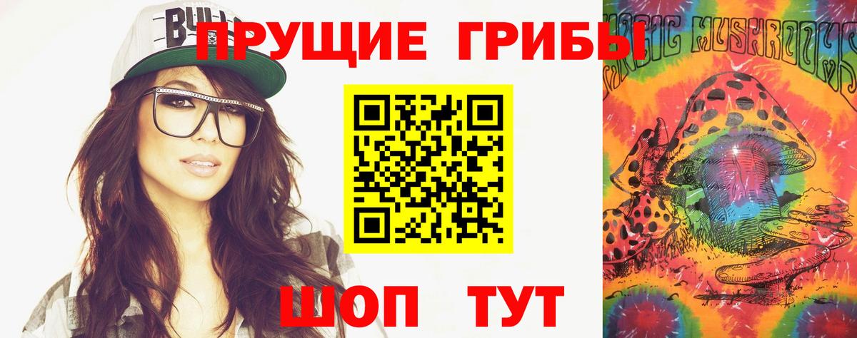 Протвино  даркнет сайт  Вход с VPN  Галлюциногенные грибы Psilocybe 