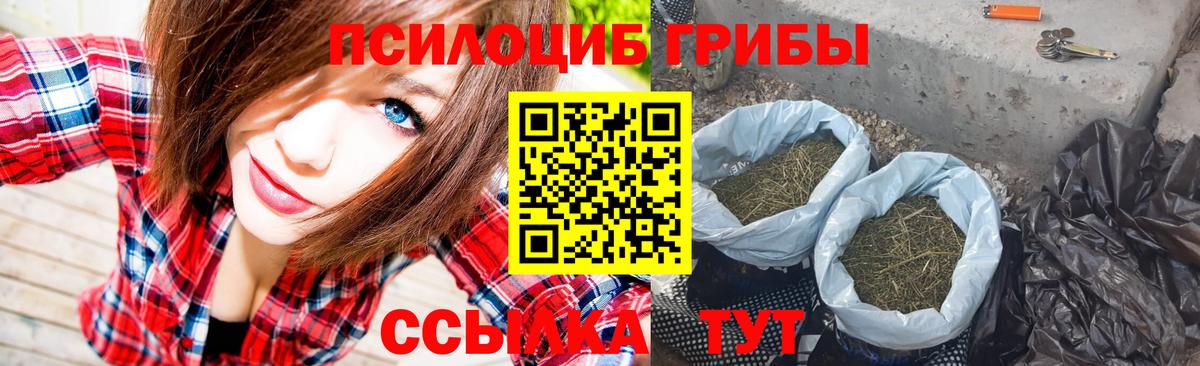 Галлюциногенные грибы GOLDEN TEACHER Протвино